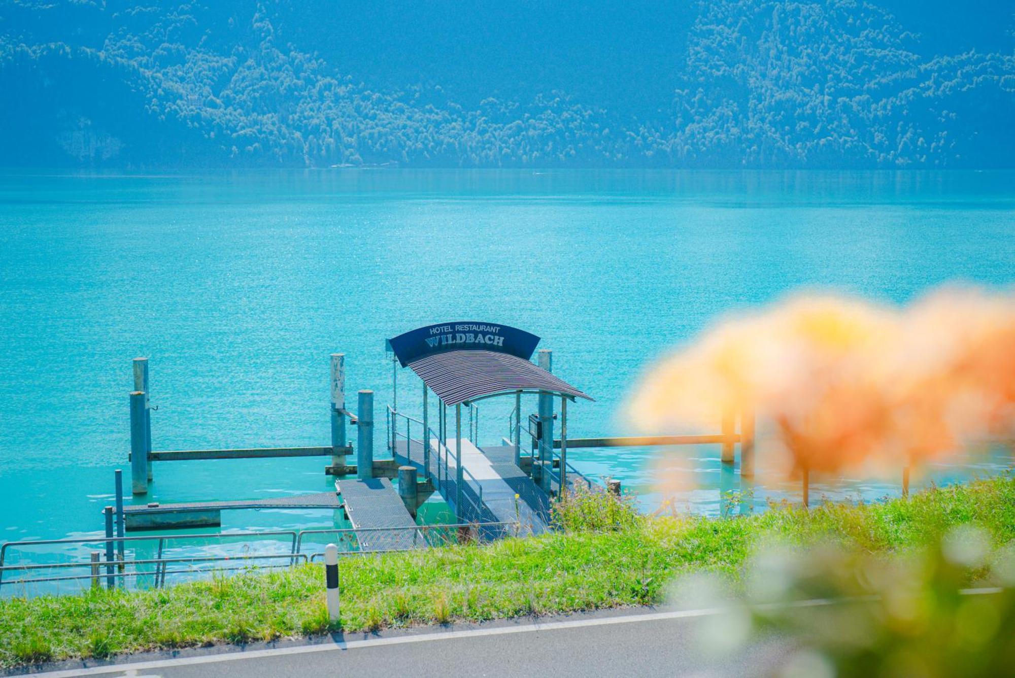 Hotel Wildbach Brienz Brienz  Ngoại thất bức ảnh